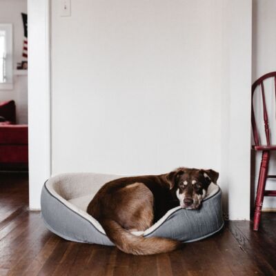 andrew-neel-gOj023vV8CQ-unsplash