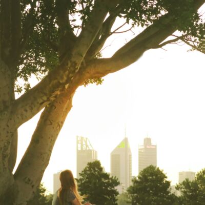 Kings Park in Perth